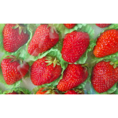Клубника (набор в индивидуальной упаковке)